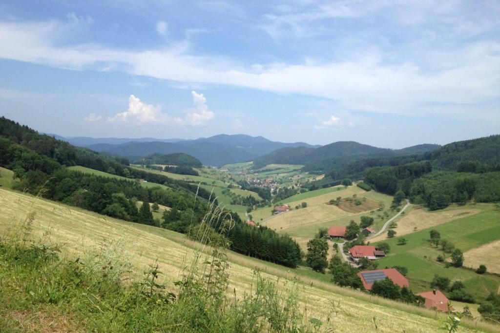 Haus Alle Jahreszeiten Willingen  Esterno foto